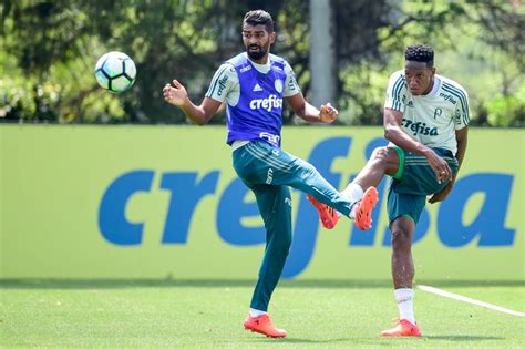 De Olho No Vice Palmeiras Pega Botafogo Em Ltimo Jogo No Palestra