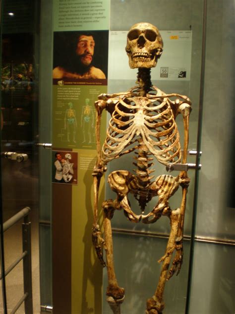 I Brought A 315,000 Year Old Neanderthal Skeleton Back To Life And This Is What He Said: | by ...