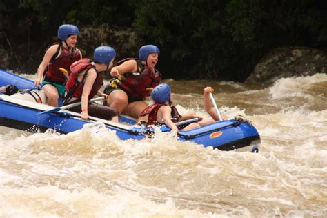 Tully Gorge National Park Cairns Australia Holidify