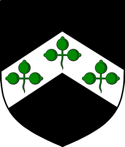 Davis Family Crest / Irish Coat of Arms Image Download - Download ...