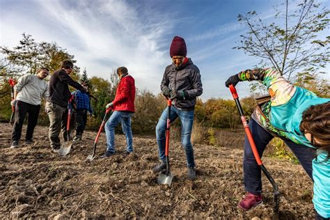 Los Bosques En La Ciudad Son La Misma Salud En Cracovia Hay M S Y M S