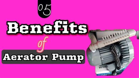 Benefits Of An Aerator Pump Typs And What To Consider Before Buying