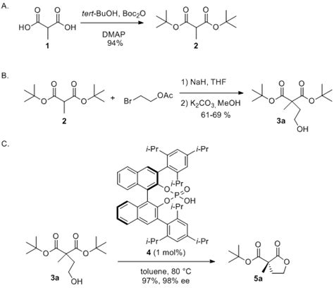 Organic Syntheses Procedure