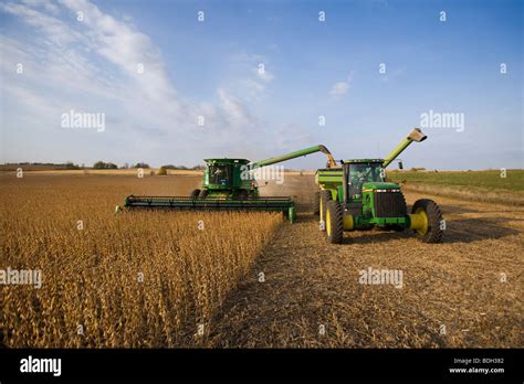 A John Deere Combine Harvesting A Crop Of Healthy Soybeans In Autumn