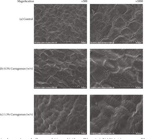 Figure 2 From Carrageenan Edible Coating Application Prolongs Cavendish