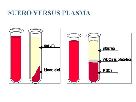 Tubos Para Obtencion De Muestras De Sangre Hemograma