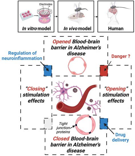 Scheme Of The Non Invasive Brain Stimulation Nibs Action On Download Scientific Diagram