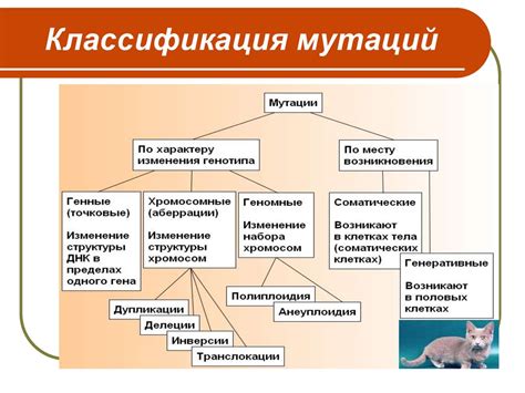 Мутационная изменчивость. Закон гомологических рядов - презентация онлайн