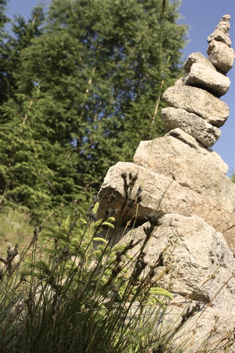 Fotos gratis bosque rock desierto para caminar montaña sendero