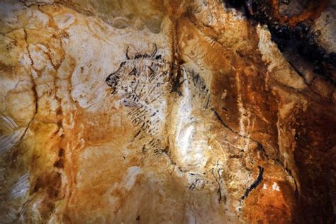 La R Plique De La Grotte Cosquer Un Lascaux Sous Marin Ouvre Au