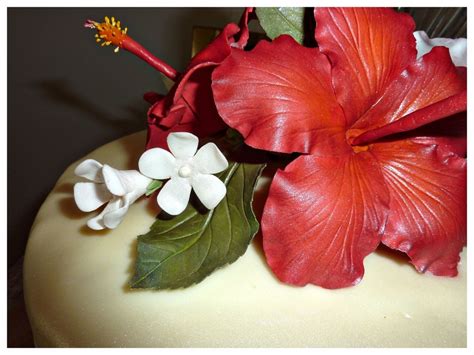 Hibiscus Cake