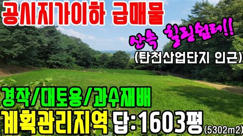 공주부동산공주토지매매no2 1008번공시지가보다 2700만원 저렴한급매토지 산속 힐링쉼터 계획관리지역 답1603