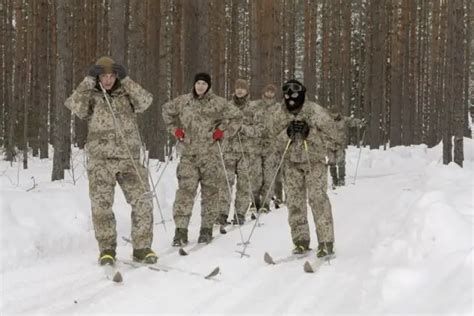 Latvia Latvian Army ranks military combat field uniforms dress grades uniformes combat armee ...