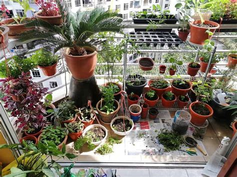 23 Creative Container Garden Ideas Trendey