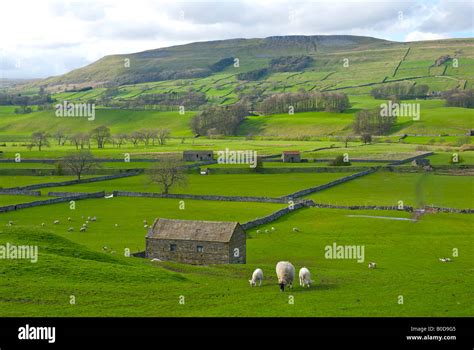 Upper Wensleydale Near Hawes North Yorkshire Yorkshire Dales Stock