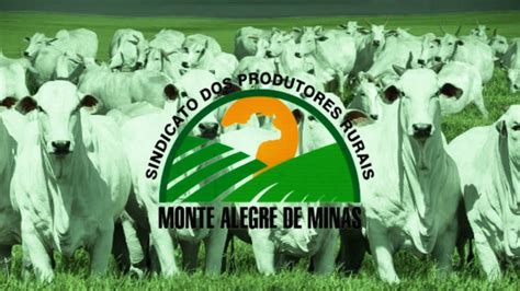 1 Leilão do Sindicato dos Produtores Rurais de Monte Alegre de Minas