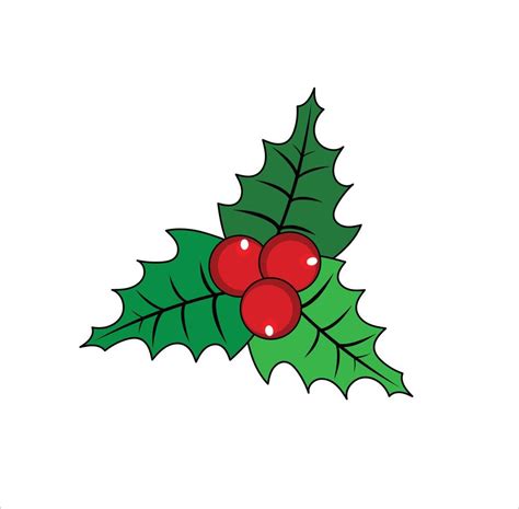 Holly vector illustration on white background 18735415 Vector Art at ...