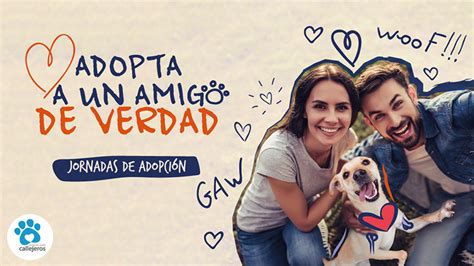 Apumanque realizará nuevas jornadas de adopción de perros adultos y