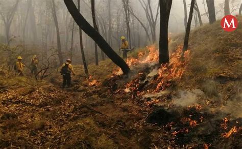 Incendios Forestales En México Arrasaron Con 591 Mil Hectáreas Grupo