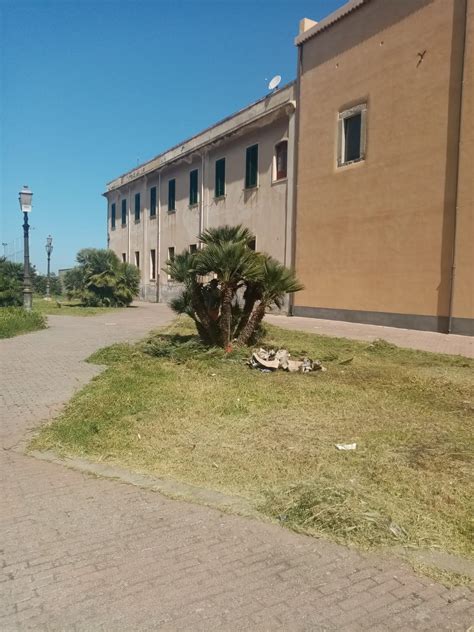 Milazzo Il Comune Cerca Giardinieri Per Carenza Di Operai Bonificata