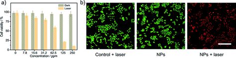 A Relative Cell Viabilities Of MCF 7 Cells Under Incubation Of