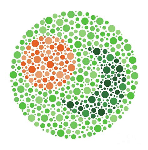 Colour Blindness Test Chart By Chongqing Tumi Technology Ltd