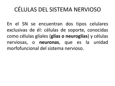 CÉLULAS DEL SISTEMA NERVIOSO ppt descargar