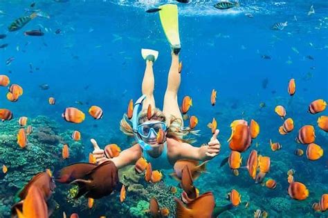 2023 Full Day Maui Snorkeling At Best Hidden Beaches Tour