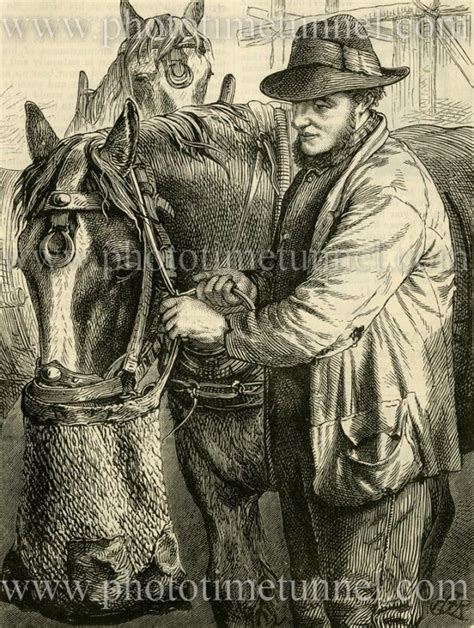 Man Feeding A Horse Vintage Wood Engraving Photo Time Tunnel