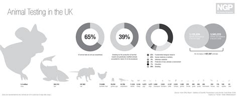 Cons of Animal Testing - Animal Testing