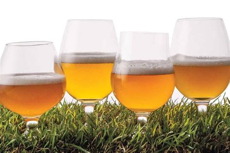 Saison Beer Guide: Style, History, Flaver, Made & Serving Tips