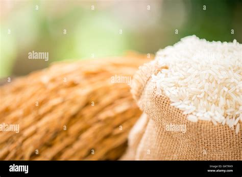 Sack Of Rice Hi Res Stock Photography And Images Alamy