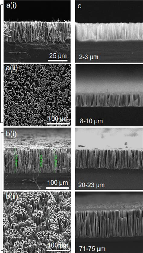 A I Cross Sectional And A Ii Plan View Sem Images Of L M