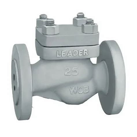 Cast Steel Horizontal Check Valve Valve Size 25 Mm At Rs 4048 In