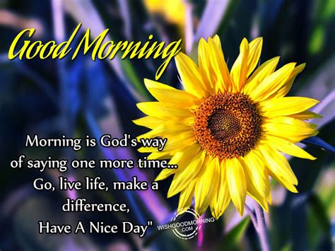 Good Morning Wishes Good Morning Pictures