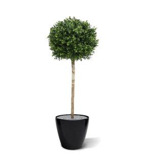 Buxus Bol Deluxe Kunstplant Cm N Maxifleur Kunstplanten