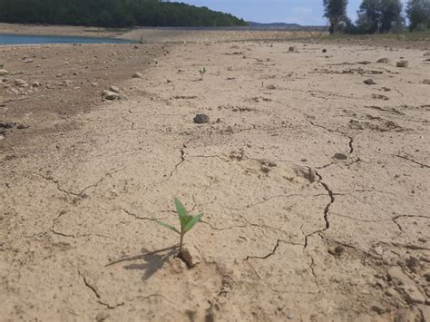 Le Changement Climatique Tue En Occitanie D C S En Exc S Cet T