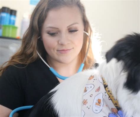 Apprenticeship Program Cascade Veterinary Clinics