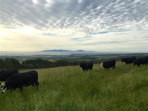 gippsland victoria australia