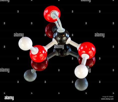 Arriba 103 Foto Donde Se Encuentra El Acido Carbonico Cena Hermosa