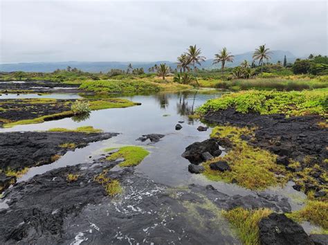 Koloa Beach, Pahala - Hawaii Beaches