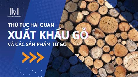 Giải đáp Thủ tục hải quan xuất khẩu gỗ và các sản phẩm từ gỗ Diễn