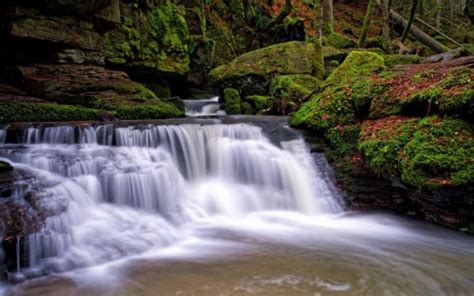 Beautiful Scenery Waterfalls Pouring On River Green Algae Covered Rocks Forest Background Hd