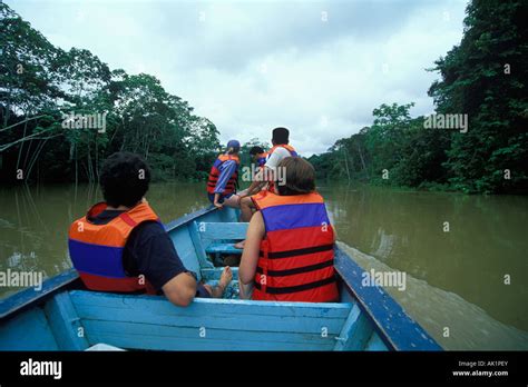 Boating down an Amazon Tributary - Amazon River Tributary, Yasuni, Ecuador, South America Stock ...