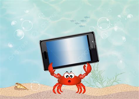 Underwater Community Background Images Hd Pictures And Wallpaper For