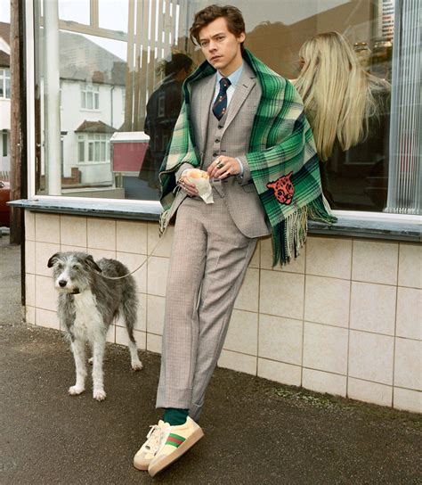 Harry Styles in First Ad Campaign for Gucci | SENATUS