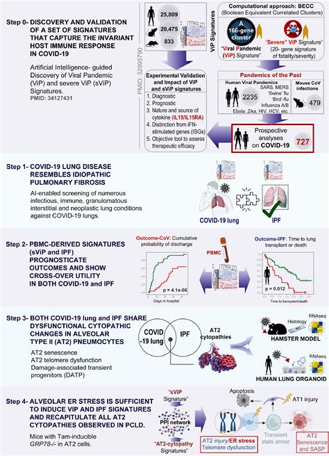 Post Covid Lung Disease Shares Origins With Other Scarring Lung Disorders