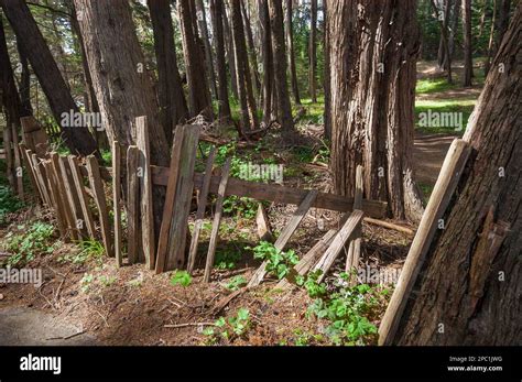 Fort Ross State Historic Park California Stock Photo Alamy