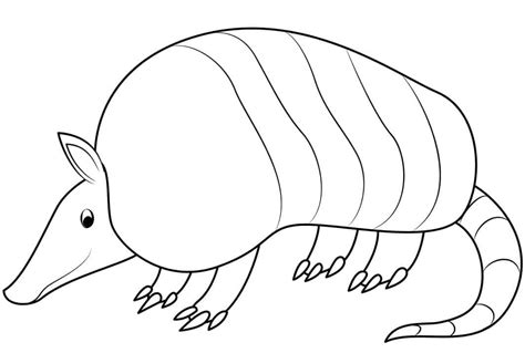 Dibujos De Armadillo Para Colorear E Imprimir Coloringonly