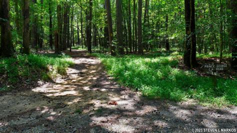 Petersburg National Battlefield | WATER LINE TRAIL